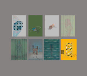 MATTHEW SWARTS  MATTHEWSWARTS2016A