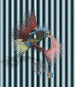 MATTHEW SWARTS  ORBITSPHERE1D