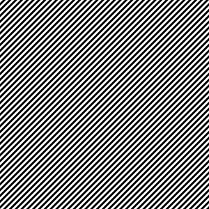 MATTHEW SWARTS  STRIPESBW