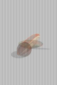 MATTHEW SWARTS  THREEVIEWSOFALICE1