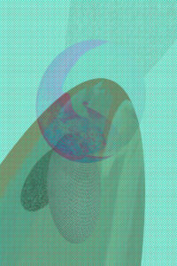 MATTHEW SWARTS  THREEVIEWSOFALICE2E