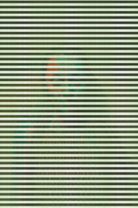 MATTHEW SWARTS  MG 8583 1E2A3