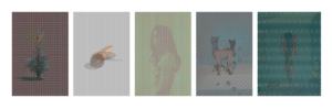 MATTHEW SWARTS  MATTHEWSWARTSMCCPHOTOGRAPHYFELLOWSHIPCOMPETITIONIMAGES
