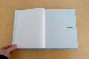 MATTHEW SWARTS MATTHEW SWARTS + THE ALTERNATIVES (2017) BOOK PROJECT (IN PROGRESS!) MG 0441