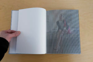 MATTHEW SWARTS MATTHEW SWARTS + THE ALTERNATIVES (2017) BOOK PROJECT (IN PROGRESS!) MG 0448