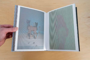 MATTHEW SWARTS MATTHEW SWARTS + THE ALTERNATIVES (2017) BOOK PROJECT (IN PROGRESS!) MG 0548