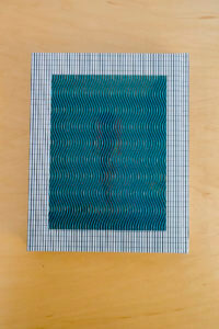 MATTHEW SWARTS MATTHEW SWARTS + THE ALTERNATIVES (2017) BOOK PROJECT (IN PROGRESS!) MG 0576