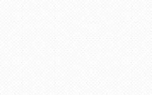 MATTHEW SWARTS  WHITEDOTS100
