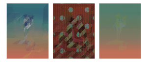 MATTHEW SWARTS  MATTHEWSWARTS2017H2FAS2