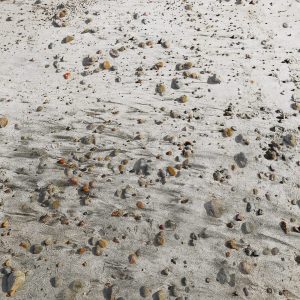 MATTHEW SWARTS IMG 4624 1H4