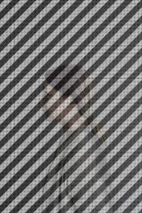 MATTHEW SWARTS  THEALTERNATIVES2015 DSC4264B2B