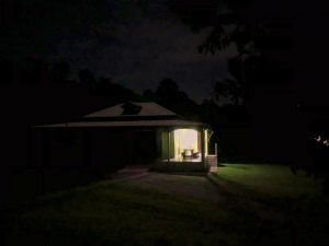 MATTHEW SWARTS  IMG 5314