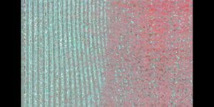 MATTHEW SWARTS  THREE VIEWS OF C 2017A M4V IMAGE