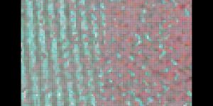 MATTHEW SWARTS  THREE VIEWS OF C 2017C M4V IMAGE