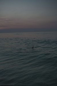 MATTHEW SWARTS  TUMBLR MGY8RIDWFA1QKHH16O1 1280
