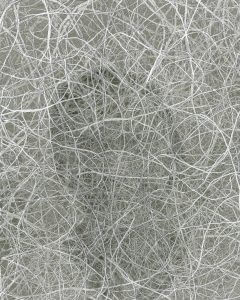 MATTHEW SWARTS UNTITLED (2006) 02 2