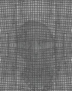 MATTHEW SWARTS UNTITLED (2006) 141