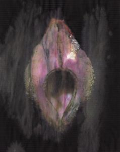 MATTHEW SWARTS  BIVALVE2