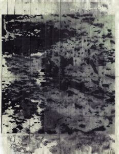 MATTHEW SWARTS  DALMATION2