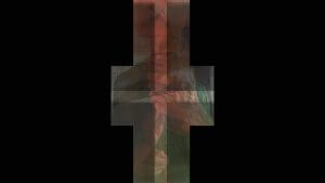 MATTHEW SWARTS  ME BY C 2018 M4V IMAGE