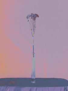 MATTHEW SWARTS  DSC1801 1B