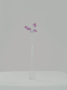 MATTHEW SWARTS  DSC1901 1B