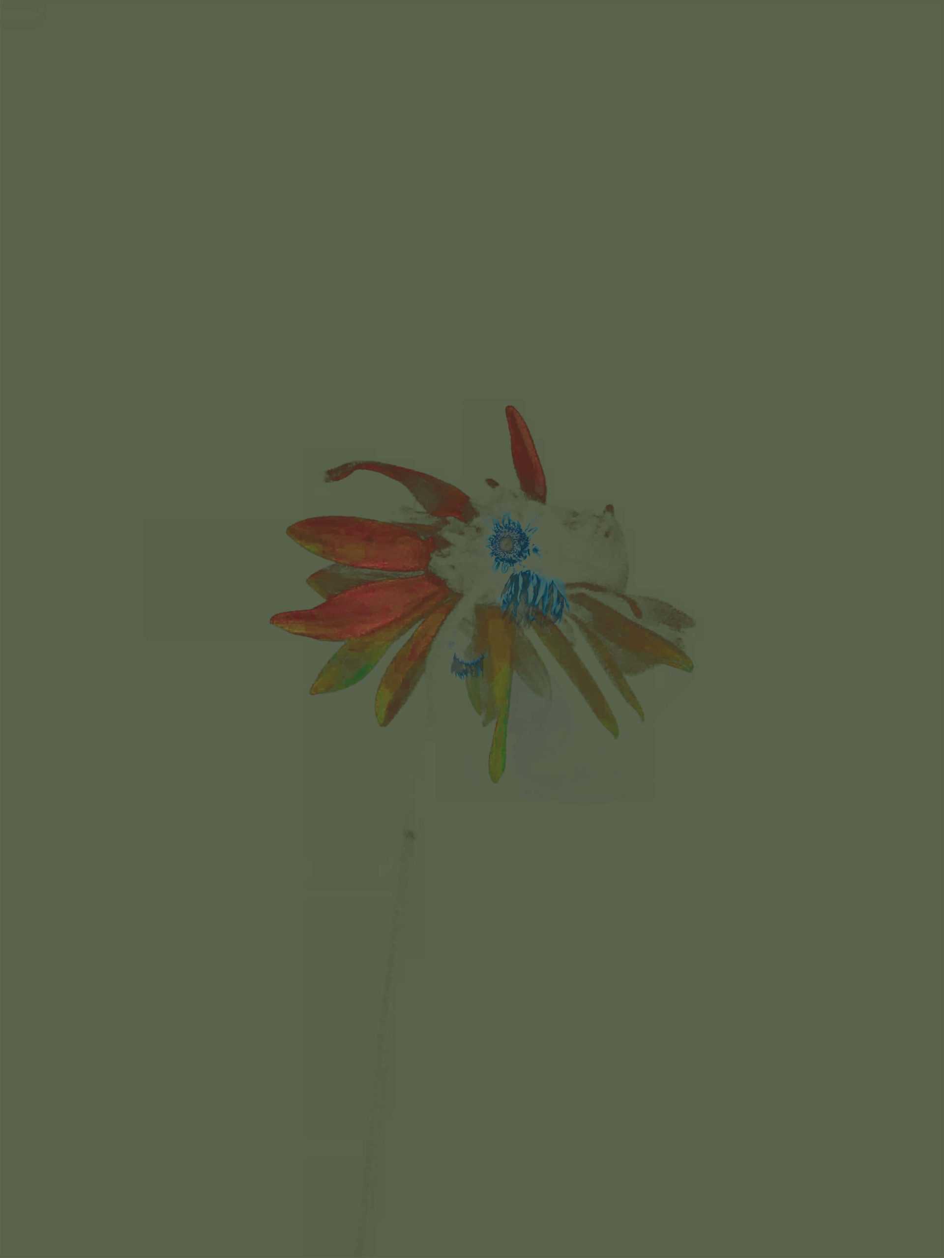 MATTHEW SWARTS IMG 3471 1C