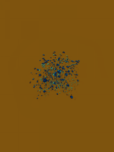 MATTHEW SWARTS  IMG 5080 1B