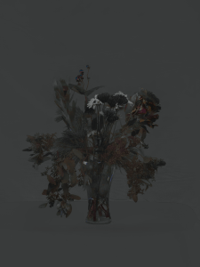 MATTHEW SWARTS  DSC2176 1D