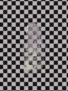MATTHEW SWARTS  IMG 2598 1E