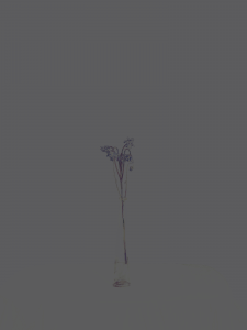 MATTHEW SWARTS  DSC1911 1L