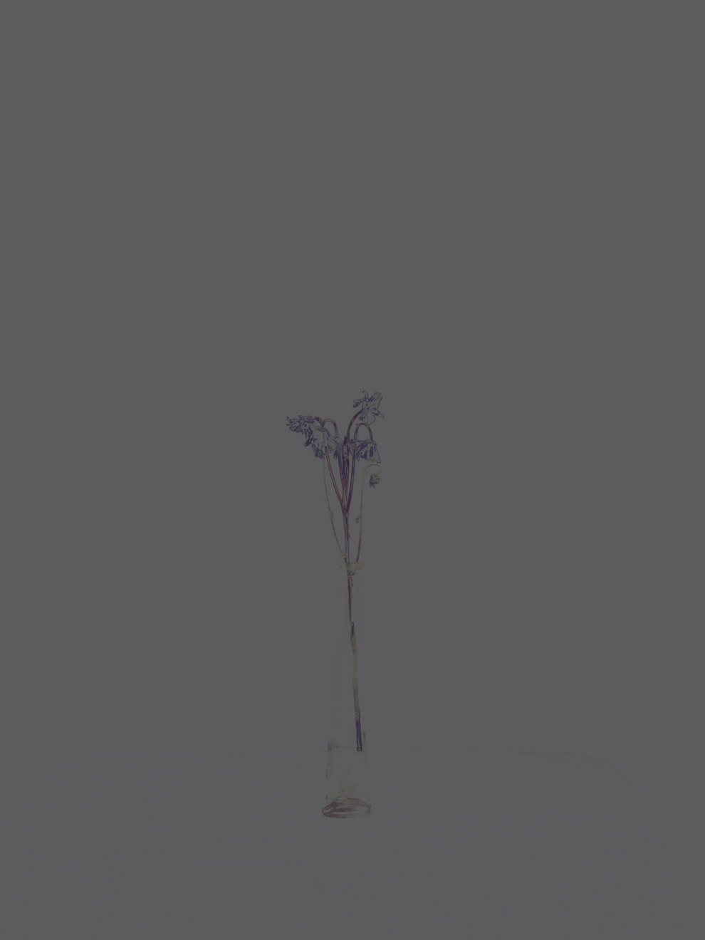 MATTHEW SWARTS DSC1911 1L