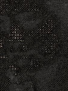MATTHEW SWARTS  IMG 9988 1A2N