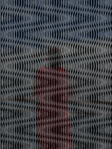 MATTHEW SWARTS  THEALTERNATIVES2014IMG 2788B2019A