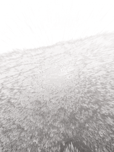 MATTHEW SWARTS  IMG 1117 1F