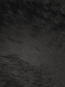 MATTHEW SWARTS  IMG 1117 1I