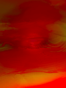 MATTHEW SWARTS  IMG 3931 1B2A2C