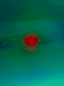MATTHEW SWARTS  IMG 3931 1B2A2D