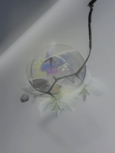 MATTHEW SWARTS  IMG 3931 1D2CFLAT1A