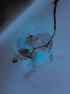 MATTHEW SWARTS  IMG 3931 1D2CFLAT1C