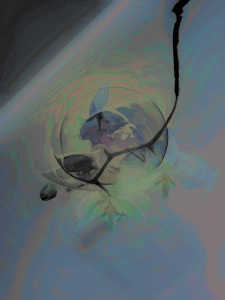 MATTHEW SWARTS  IMG 3931 1D2CFLAT1D