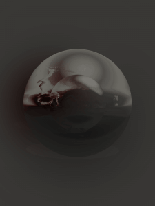 MATTHEW SWARTS  IMG 7854B