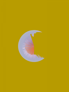 MATTHEW SWARTS  IMG 7854C4A2B