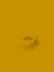 MATTHEW SWARTS  IMG 7854C4F