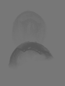 MATTHEW SWARTS  ORCHIDGRADIENT1A3D1A2E