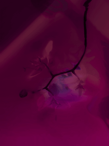 MATTHEW SWARTS  ORCHIDGRADIENT1A3D1G