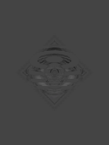 MATTHEW SWARTS  RADIALNOISE2062019E