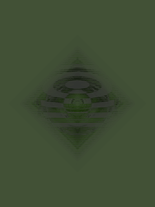 MATTHEW SWARTS  RADIALNOISE2062019G