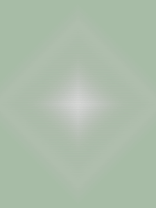 MATTHEW SWARTS  RADIALNOISEDIAMOND1L9A2