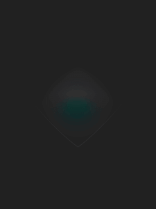 MATTHEW SWARTS  RADIALNOISEDIAMONDX2C